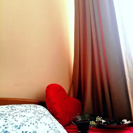 Flat On Sheptytskykh Apartment *
