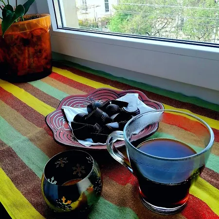 Apartment Flat On Sheptytskykh Lviv