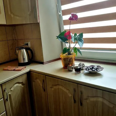 Flat On Sheptytskykh Apartment *