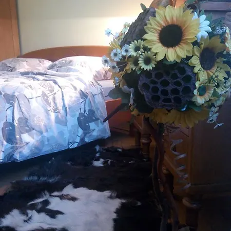 Flat On Sheptytskykh