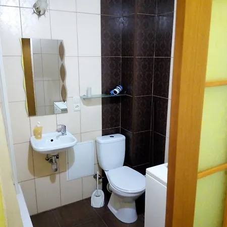 Flat On Sheptytskykh