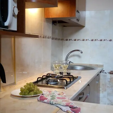 Flat On Sheptytskykh Lviv