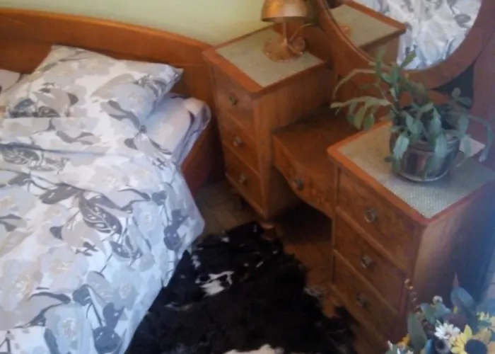 Flat On Sheptytskykh * Львов